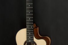 Cocobolo_05