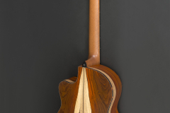 Cocobolo_06