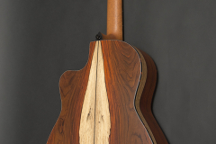 Cocobolo_07