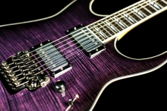 Egitpurple03