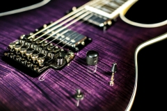 Egitpurple04