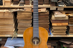 Nylonstring